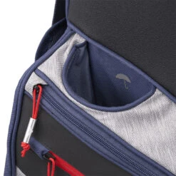 Mizuno BR-D4C Golf Cart Bag -FootJoy || Callaway || Ping Sales 2021brd4ccartbag5