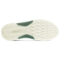 Ecco Biom H4 BOA Gore-Tex Golf Shoes -FootJoy || Callaway || Ping Sales Ecco Biom H 4 BOA Gore Tex Golf Shoes Magnet Frosty Green 6